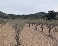 Venta - Land - La Romana