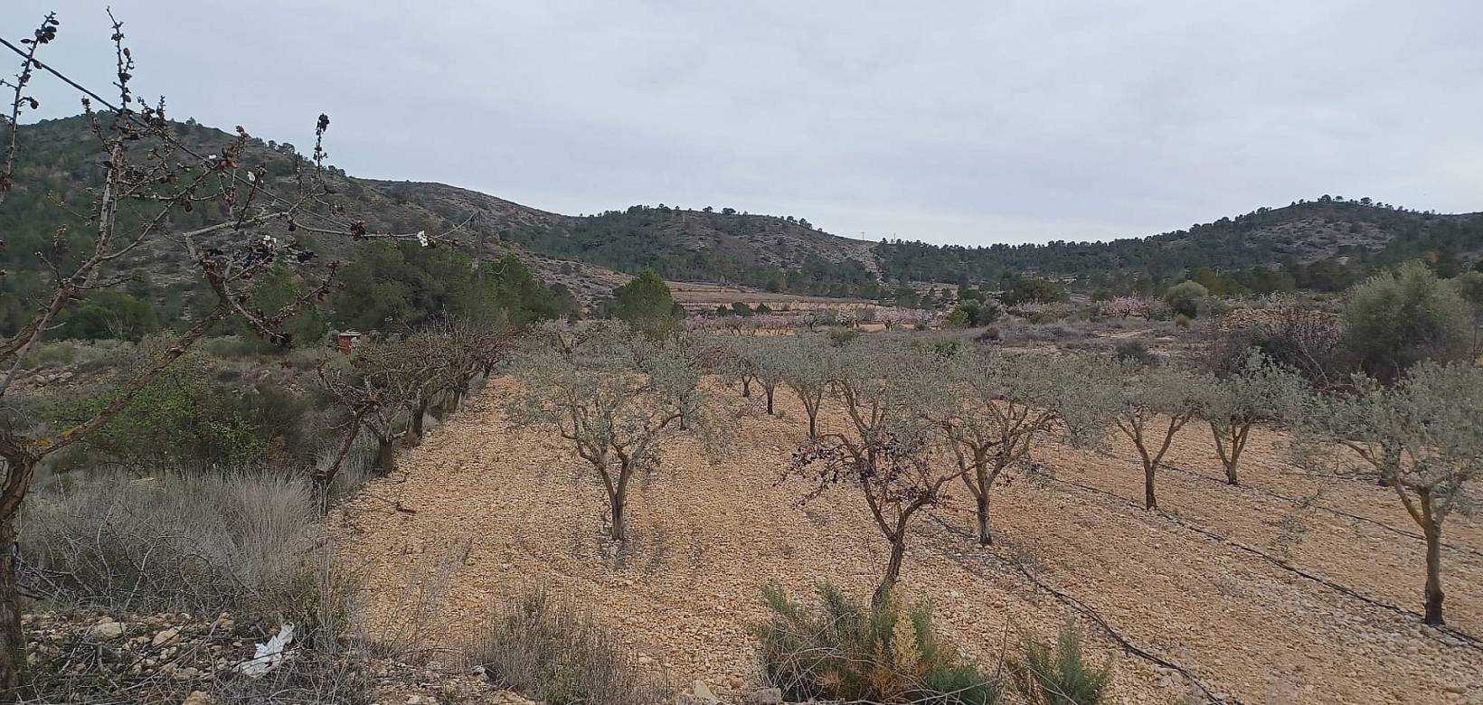 Venta - Land - La Romana