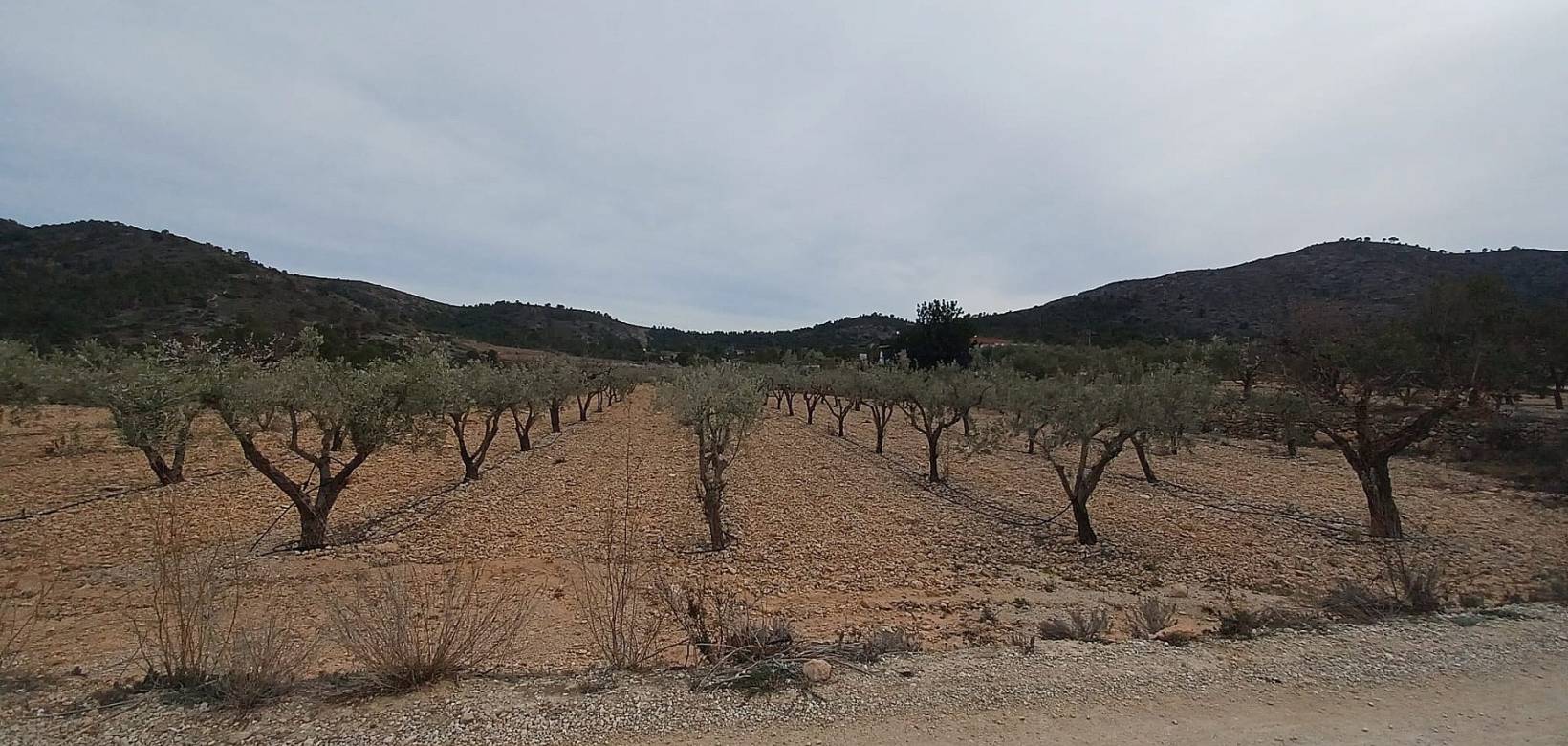 Venta - Land - La Romana