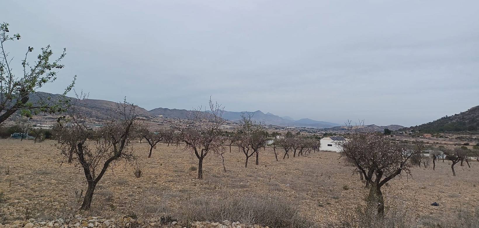 Venta - Land - La Romana