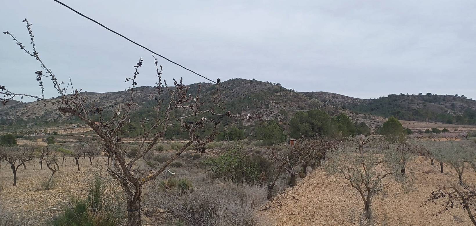 Venta - Land - La Romana