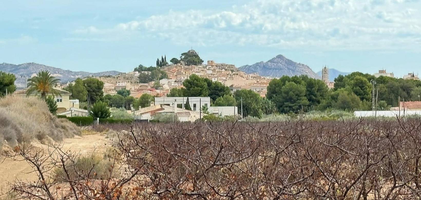 Venta - Land - Monovar