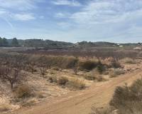 Venta - Land - Monovar