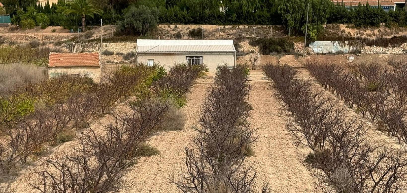 Venta - Land - Monovar