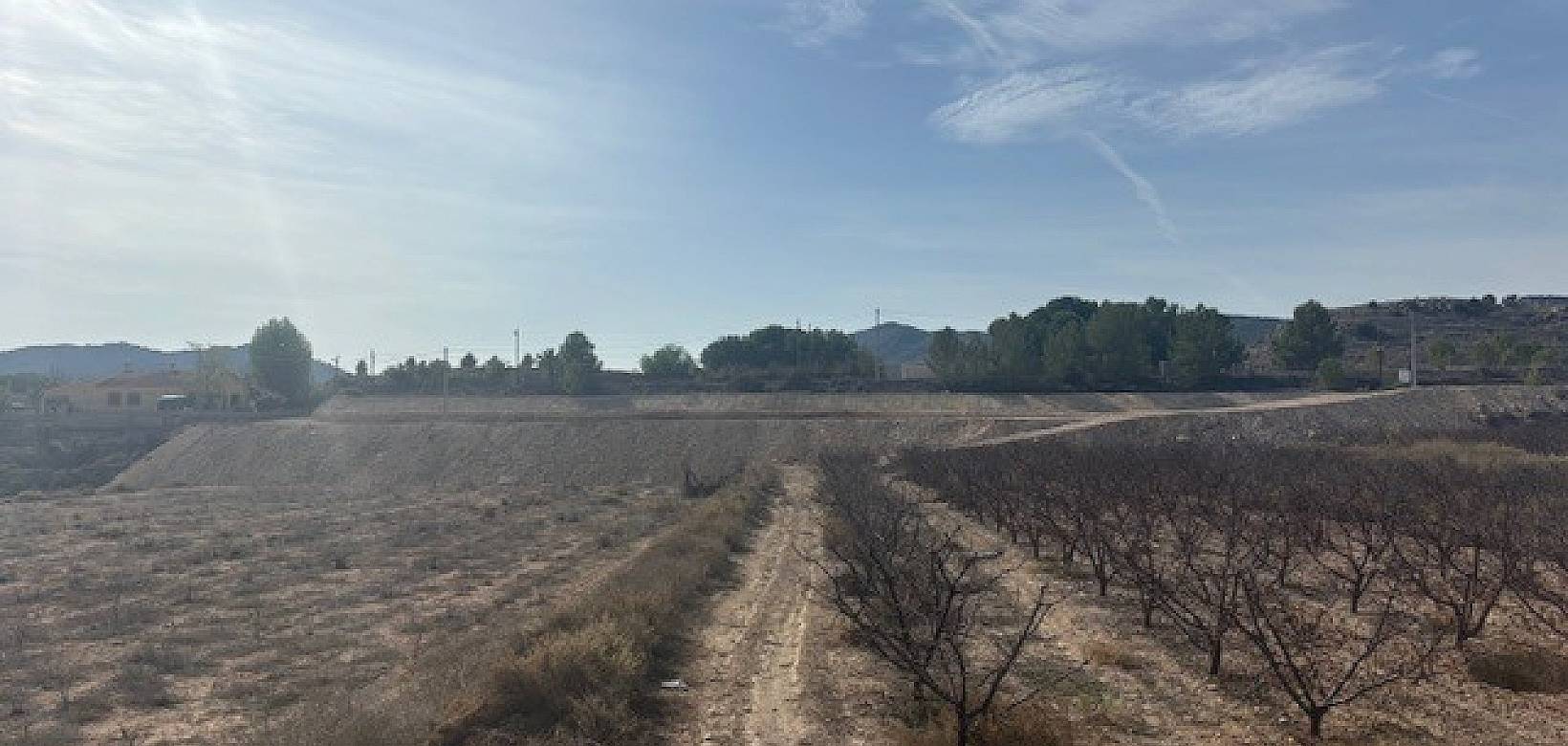 Venta - Land - Monovar