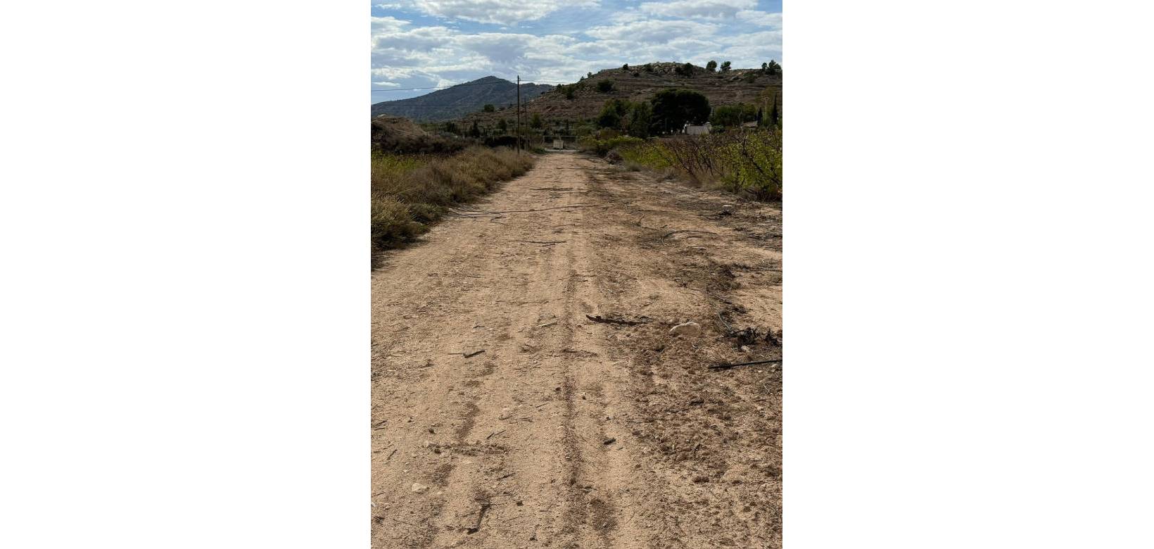 Venta - Land - Monovar