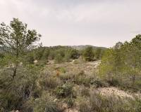 Venta - Land - Petrer