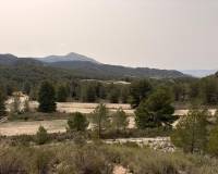 Venta - Land - Petrer