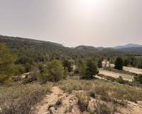 Venta - Land - Petrer