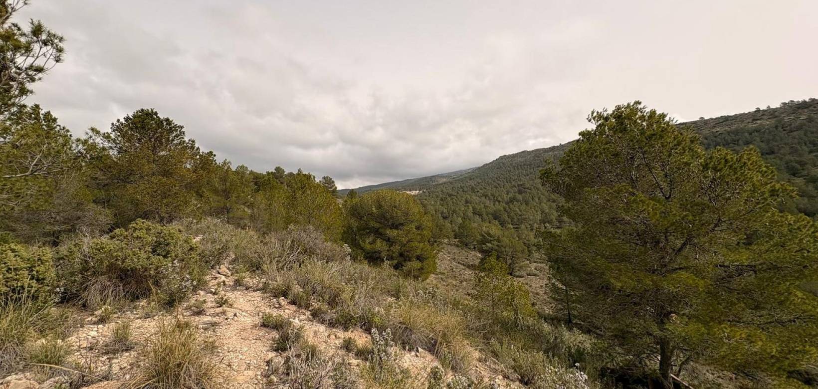 Venta - Land - Petrer