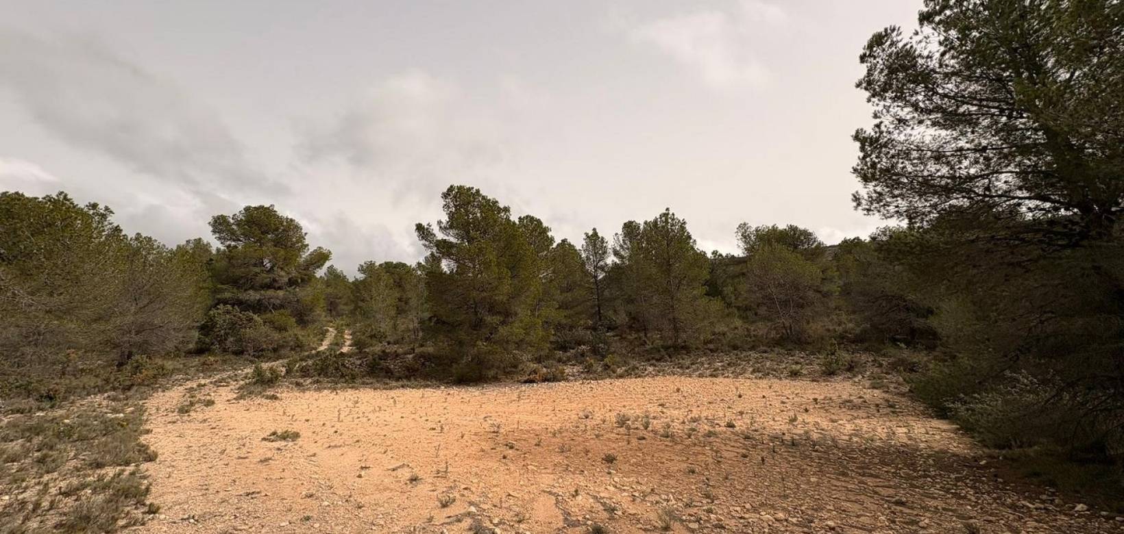 Venta - Land - Petrer