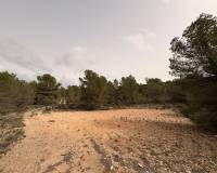 Venta - Land - Petrer