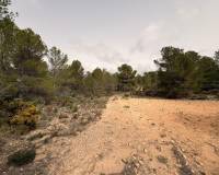 Venta - Land - Petrer