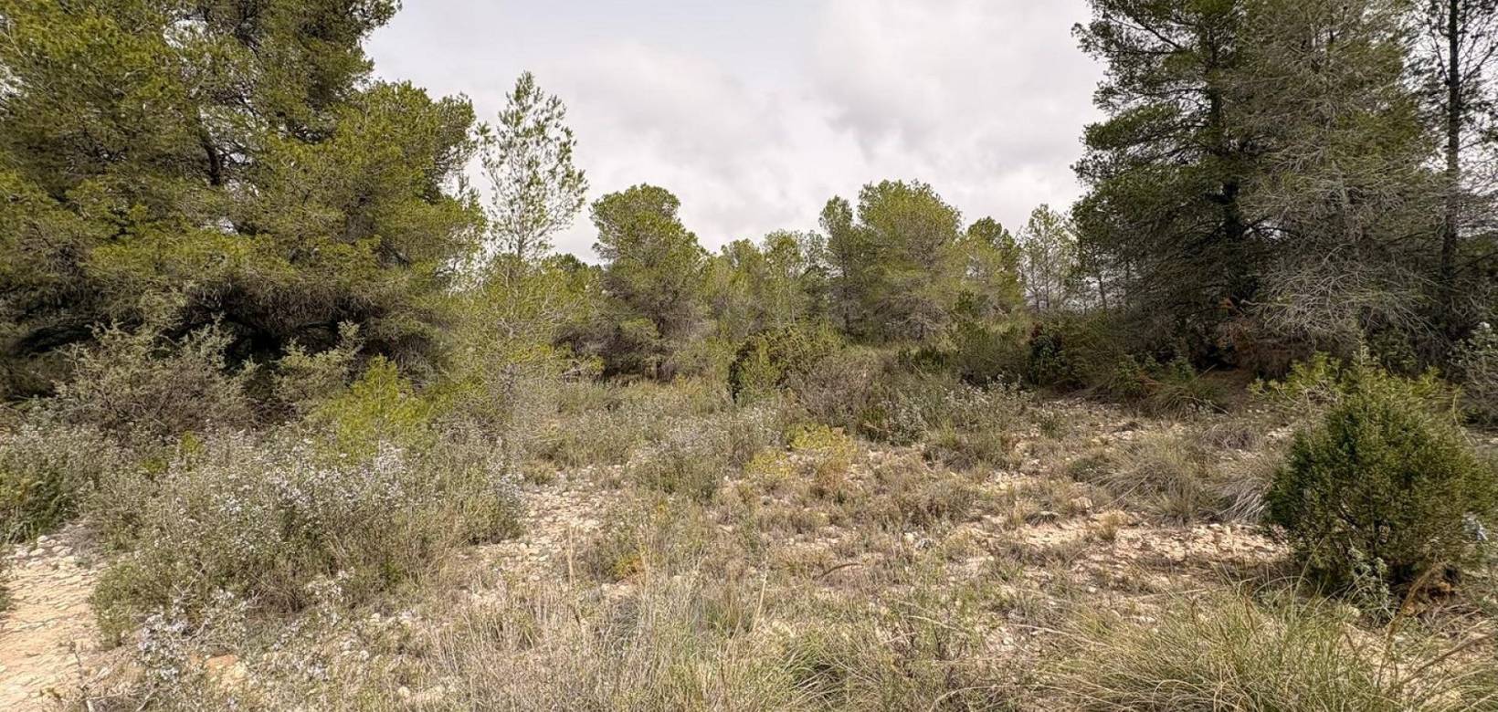 Venta - Land - Petrer