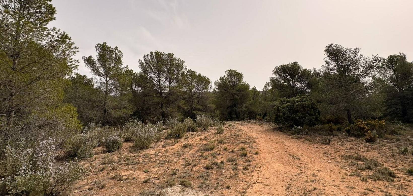 Venta - Land - Petrer