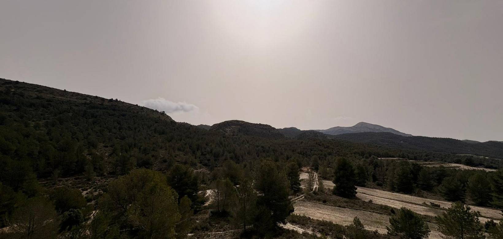 Venta - Land - Petrer