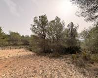 Venta - Land - Petrer