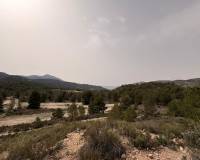 Venta - Land - Petrer