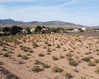 Venta - Land - Pinoso