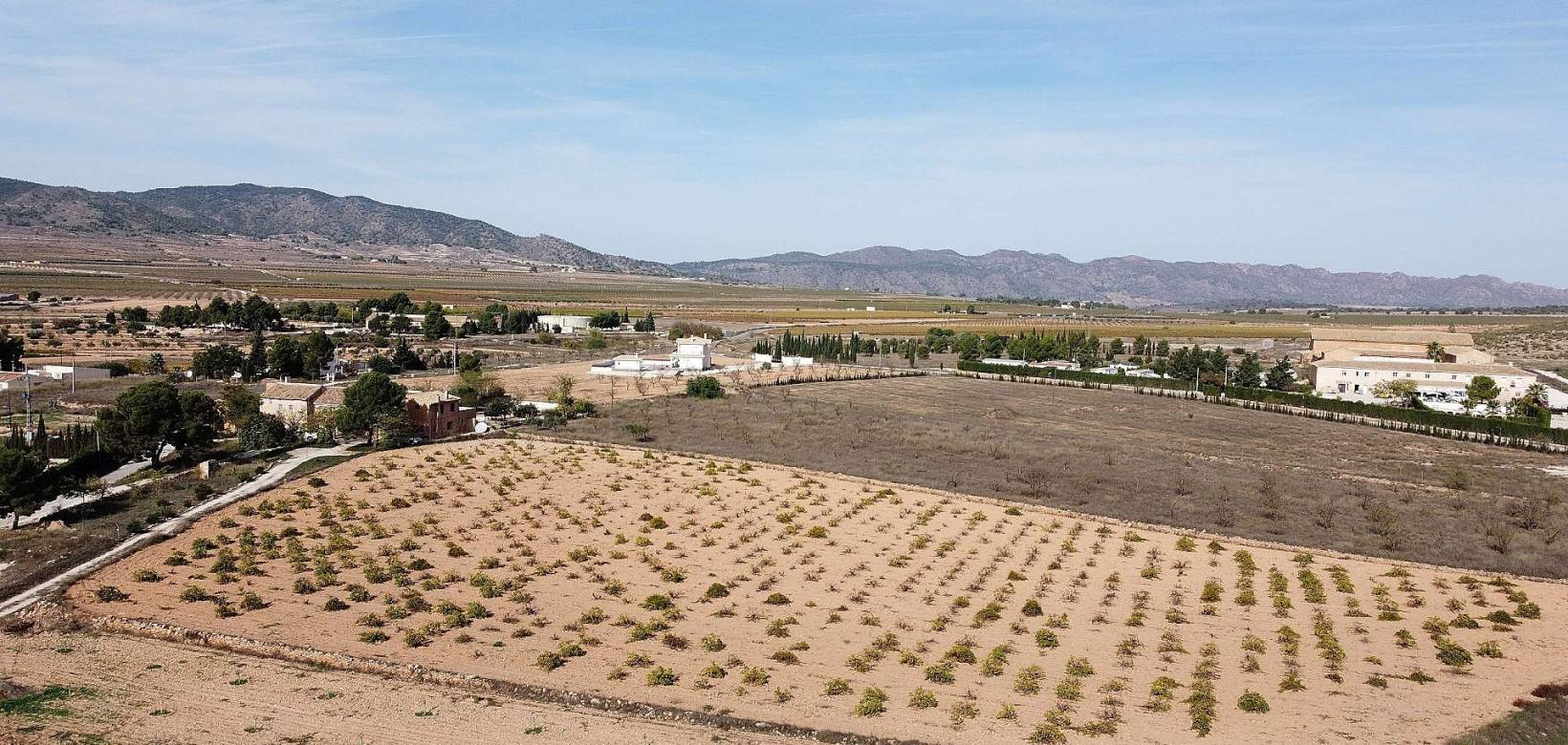 Venta - Land - Pinoso