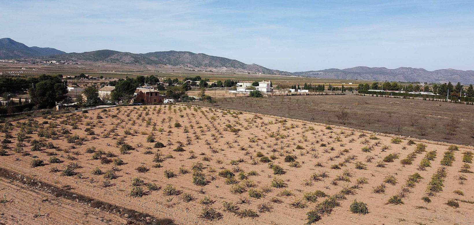 Venta - Land - Pinoso