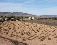 Venta - Land - Pinoso