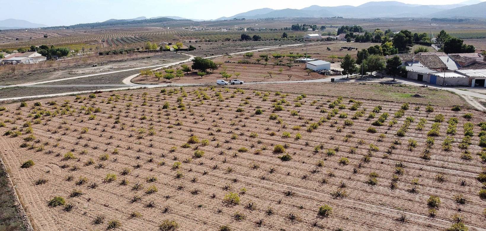 Venta - Land - Pinoso