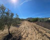 Venta - Land - Salinas