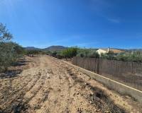 Venta - Land - Salinas