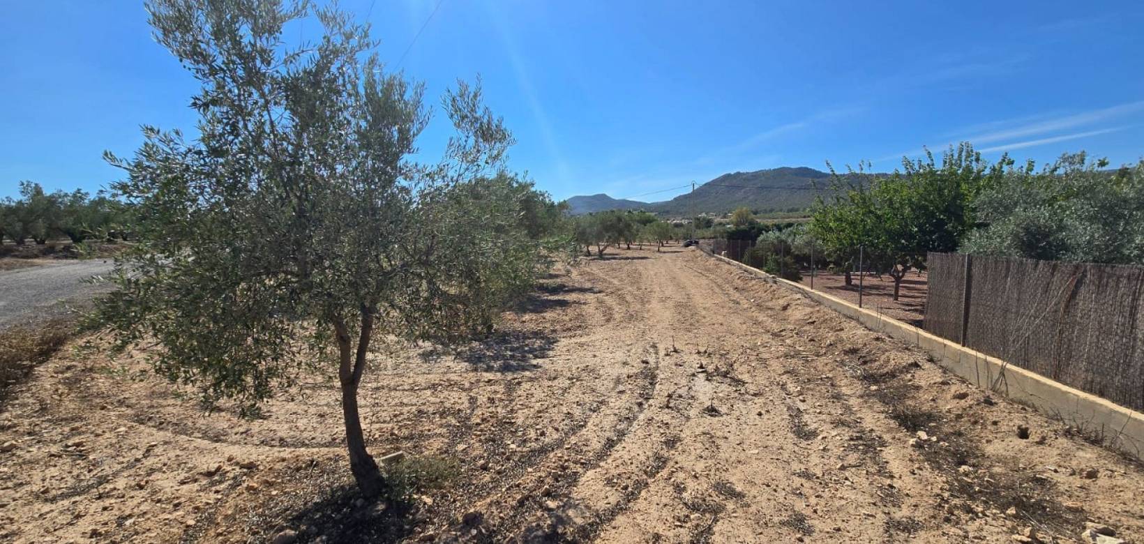 Venta - Land - Salinas