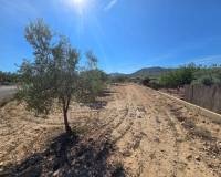 Venta - Land - Salinas