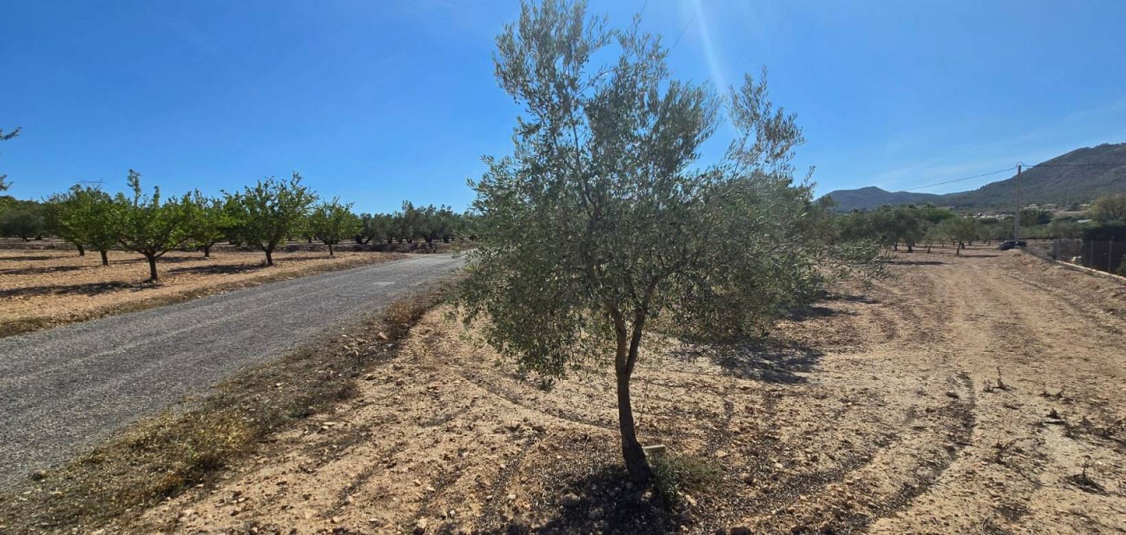 Venta - Land - Salinas