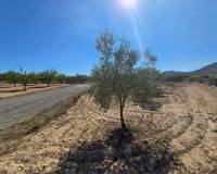 Venta - Land - Salinas