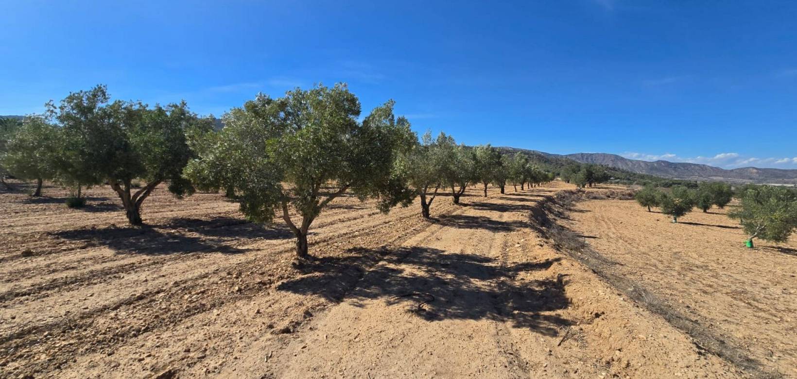 Venta - Land - Salinas