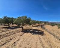 Venta - Land - Salinas