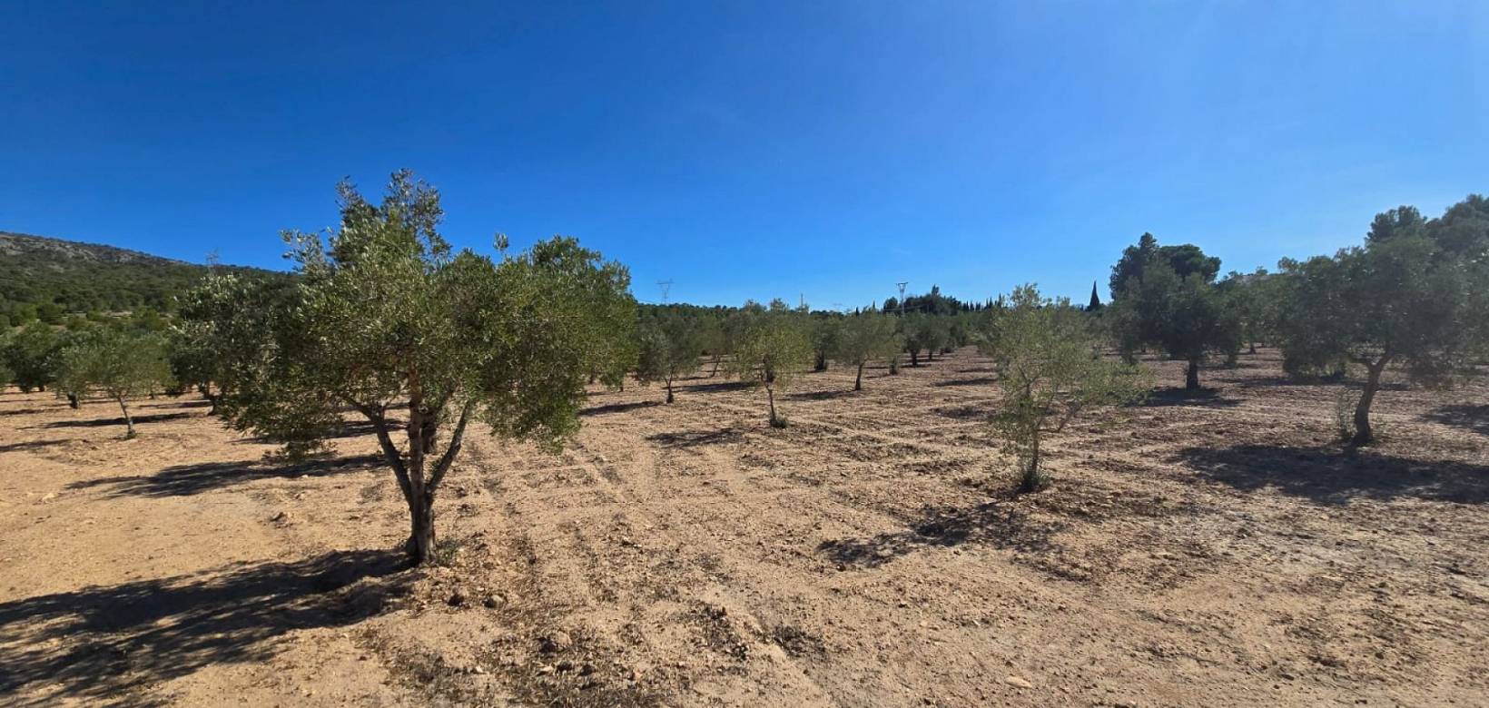 Venta - Land - Salinas