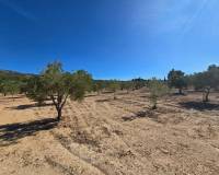 Venta - Land - Salinas