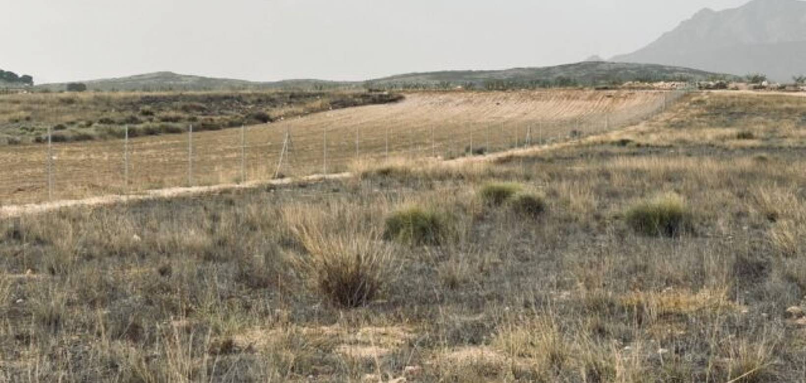 Venta - Land - Torre del Rico