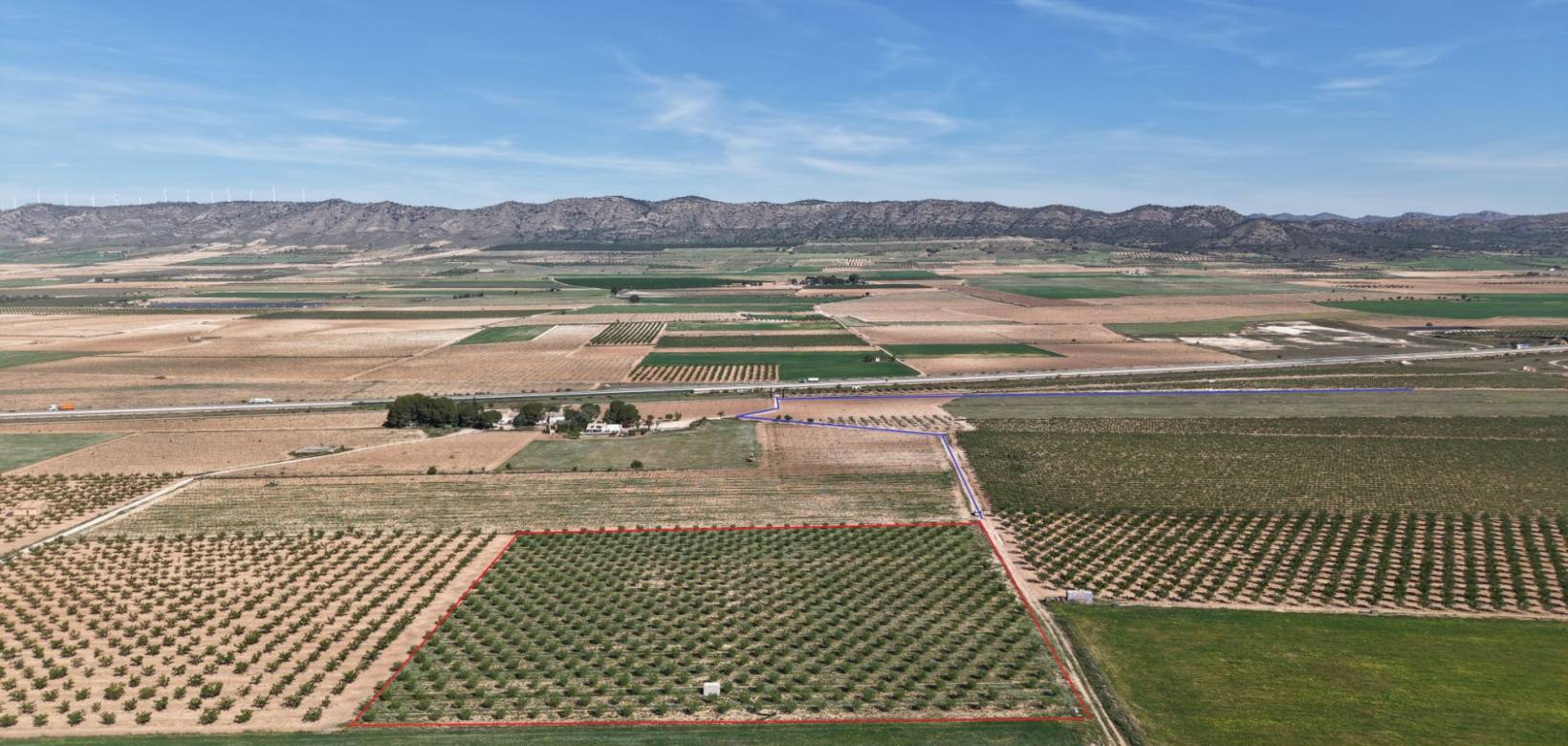 Venta - Land - Yecla - Yecla Murcia