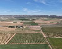Venta - Land - Yecla - Yecla Murcia