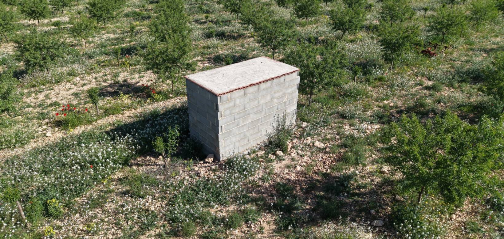Venta - Land - Yecla - Yecla Murcia