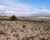 Venta - Land - Yecla