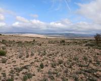 Venta - Land - Yecla