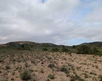 Venta - Land - Yecla