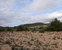 Venta - Land - Yecla