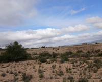 Venta - Land - Yecla