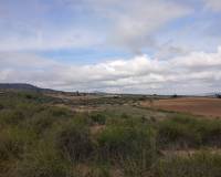 Venta - Land - Yecla