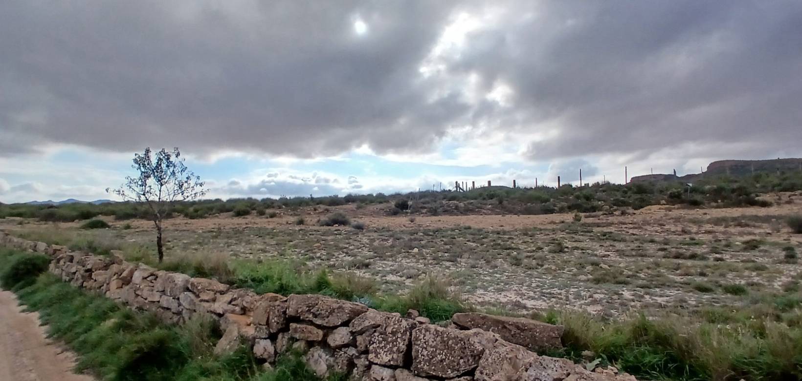 Venta - Land - Yecla