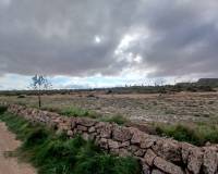 Venta - Land - Yecla