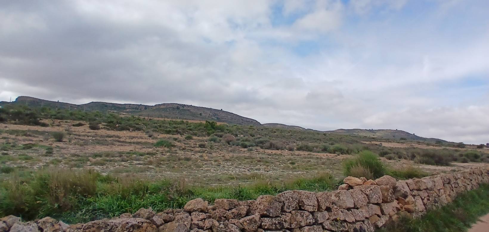 Venta - Land - Yecla